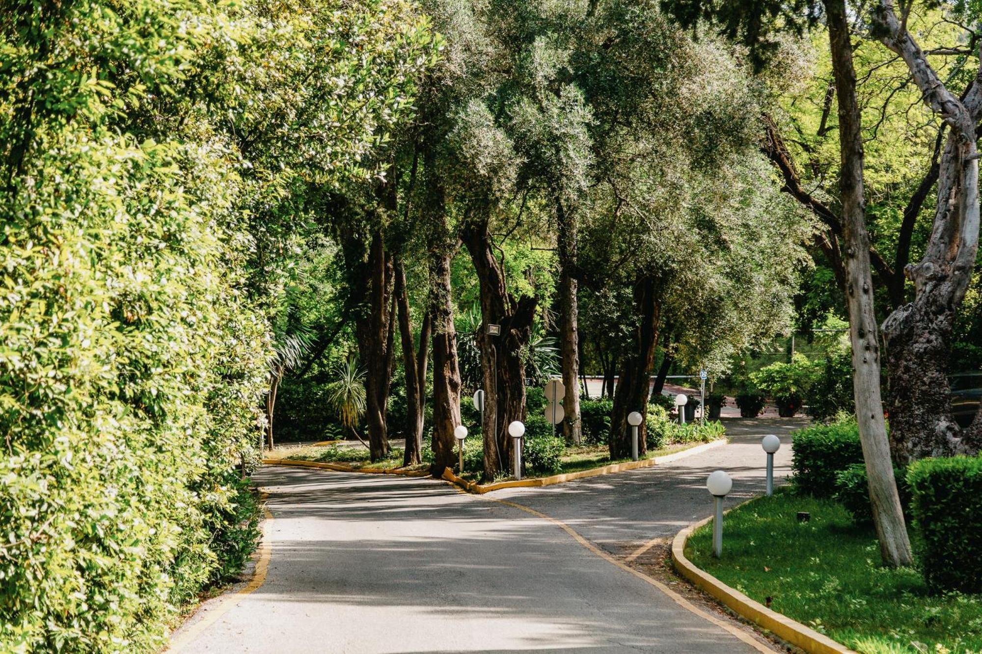 Corfu Holiday Palace Perama (Corfu) Exterior foto A street in the neighborhood