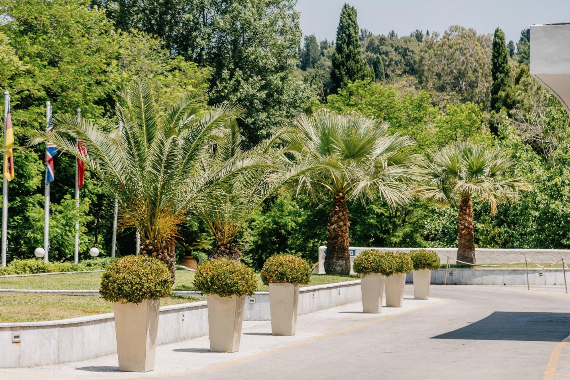 Corfu Holiday Palace Perama (Corfu) Exterior foto Phoenix canariensis in pots